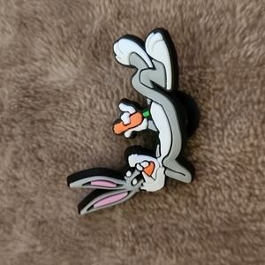 💥 5/$15 Croc Charm